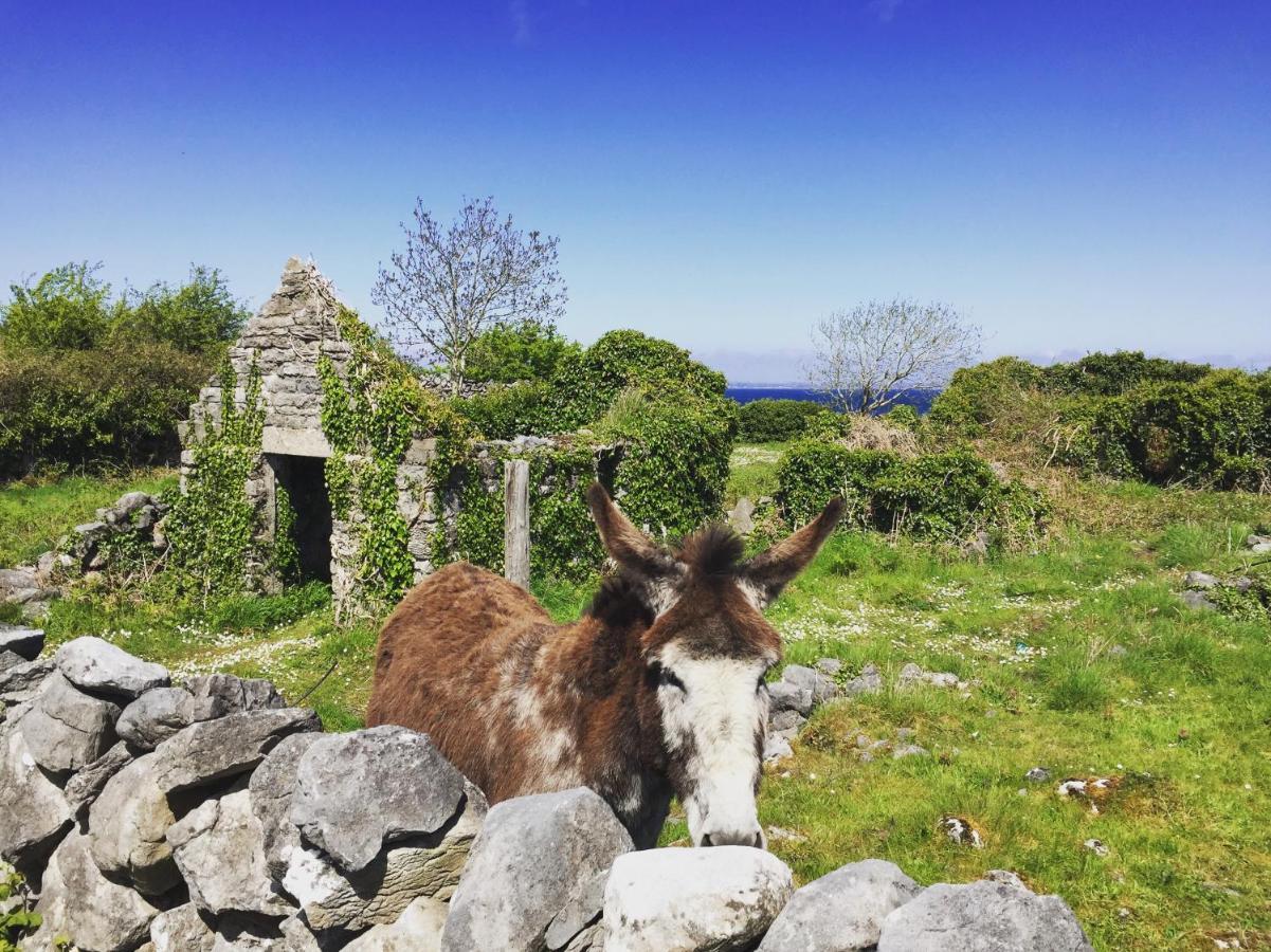 Oranuisce Thatch Cottage Ballyvaughan Εξωτερικό φωτογραφία